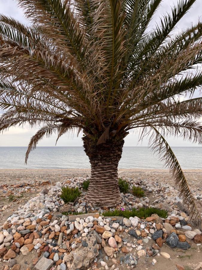 Niko Summer House Σωζόπολη Εξωτερικό φωτογραφία